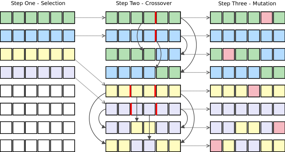 A vector drawing of the three primary stages of a genetic algorithm